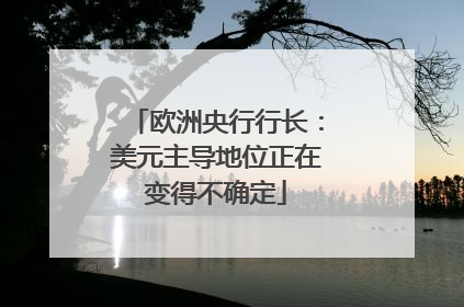 欧洲央行行长：美元主导地位正在变得不确定