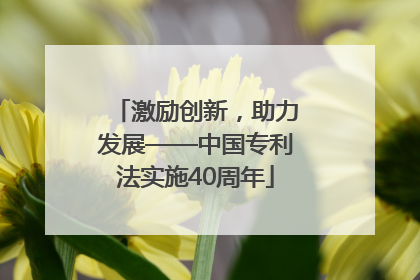 激励创新，助力发展——中国专利法实施40周年