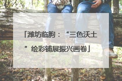 潍坊临朐：“三色沃土”绘彩铺展振兴画卷
