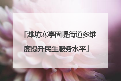 潍坊寒亭固堤街道多维度提升民生服务水平