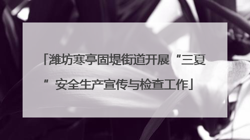 潍坊寒亭固堤街道开展“三夏”安全生产宣传与检查工作