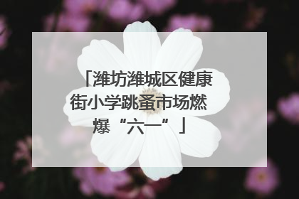 潍坊潍城区健康街小学跳蚤市场燃爆“六一”