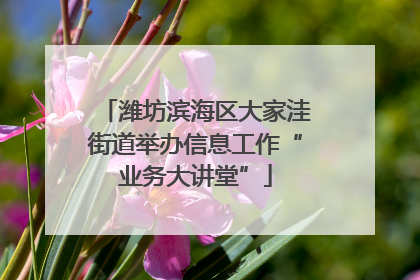 潍坊滨海区大家洼街道举办信息工作“业务大讲堂”