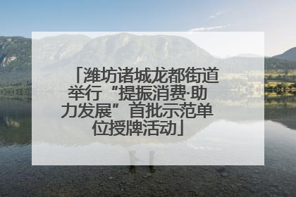 潍坊诸城龙都街道举行“提振消费·助力发展”首批示范单位授牌活动