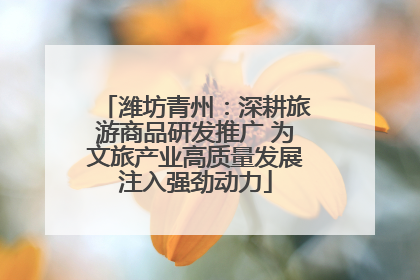 潍坊青州：深耕旅游商品研发推广 为文旅产业高质量发展注入强劲动力