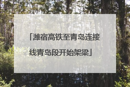 潍宿高铁至青岛连接线青岛段开始架梁