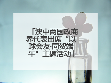 澳中两国政商界代表出席“以球会友·同贺端午”主题活动