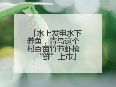 水上发电水下养鱼，青岛这个村百亩竹节虾抢“鲜”上市