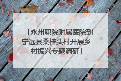 永州职院附属医院到宁远县桑梓头村开展乡村振兴专题调研