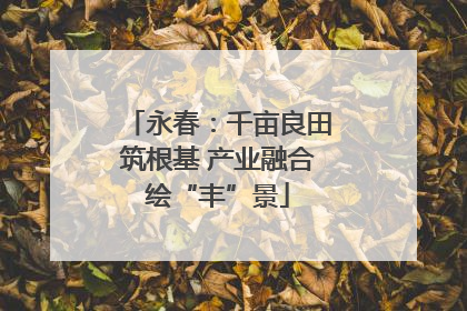 永春：千亩良田筑根基 产业融合绘“丰”景