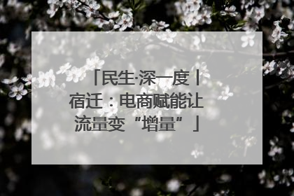 民生·深一度丨宿迁：电商赋能让流量变“增量”