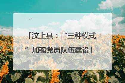 汶上县：“三种模式”加强党员队伍建设