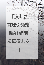 汶上县：党建引领聚动能 组团发展促共富