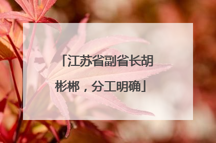 江苏省副省长胡彬郴，分工明确