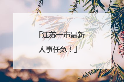 江苏一市最新人事任免！