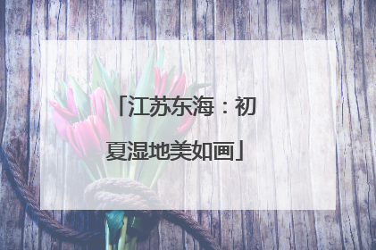 江苏东海：初夏湿地美如画
