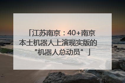 江苏南京：40+南京本土机器人上演现实版的“机器人总动员”