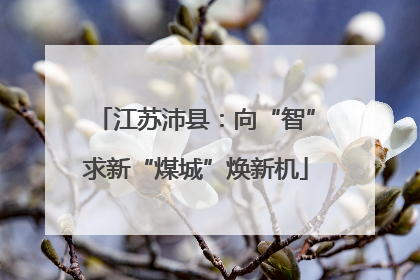 江苏沛县：向“智”求新“煤城”焕新机