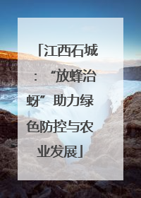 江西石城：“放蜂治蚜”助力绿色防控与农业发展