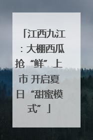 江西九江：大棚西瓜抢“鲜”上市 开启夏日“甜蜜模式”