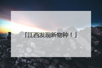 江西发现新物种！