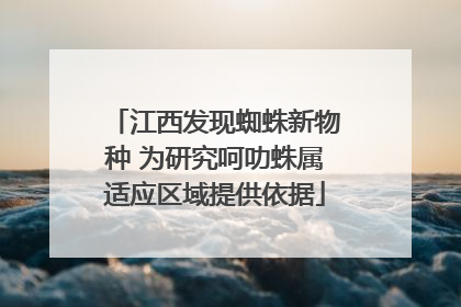 江西发现蜘蛛新物种 为研究呵叻蛛属适应区域提供依据