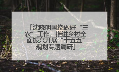 沈晓明围绕做好“三农”工作、推进乡村全面振兴开展“十五五”规划专题调研