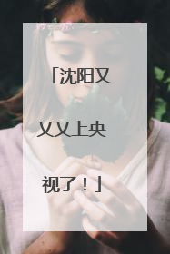 沈阳又又又上央视了！