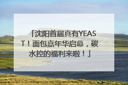 沈阳首届真有YEAST！面包嘉年华启幕，碳水控的福利来啦！