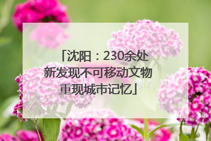 沈阳：230余处新发现不可移动文物重现城市记忆