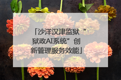 沙洋汉津监狱“狱政AI系统”创新管理服务效能