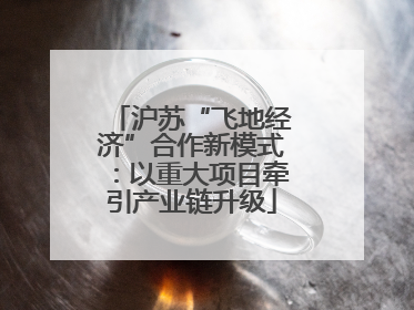沪苏“飞地经济”合作新模式：以重大项目牵引产业链升级