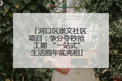 河口区崇文社区项目：争分夺秒抢工期 “一站式”生活圈年底亮相