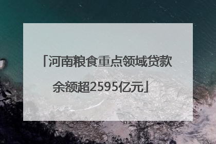 河南粮食重点领域贷款余额超2595亿元