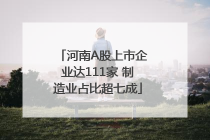河南A股上市企业达111家 制造业占比超七成