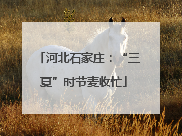 河北石家庄：“三夏”时节麦收忙