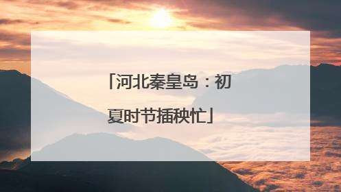 河北秦皇岛：初夏时节插秧忙
