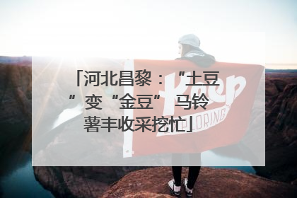 河北昌黎：“土豆”变“金豆” 马铃薯丰收采挖忙