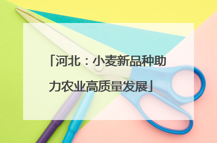 河北：小麦新品种助力农业高质量发展