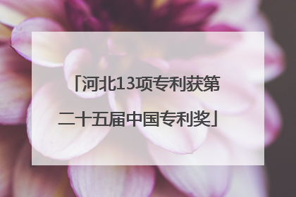 河北13项专利获第二十五届中国专利奖