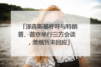泽连斯基呼吁与特朗普、普京举行三方会谈，美俄暂未回应