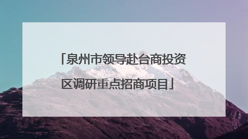 泉州市领导赴台商投资区调研重点招商项目