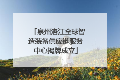 泉州洛江全球智造装备供应链服务中心揭牌成立