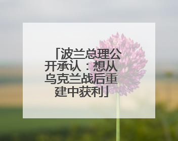 波兰总理公开承认：想从乌克兰战后重建中获利