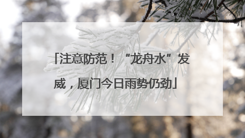 注意防范！“龙舟水”发威，厦门今日雨势仍劲