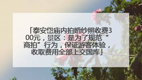 泰安岱庙内拍婚纱照收费300元，景区：是为了规范“商拍”行为，保证游客体验，收取费用全部上交国库