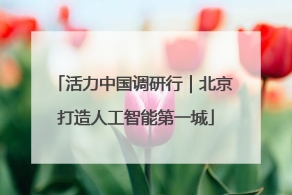 活力中国调研行｜北京打造人工智能第一城