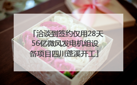 洽谈到签约仅用28天 56亿微风发电机组设备项目四川蓬溪开工