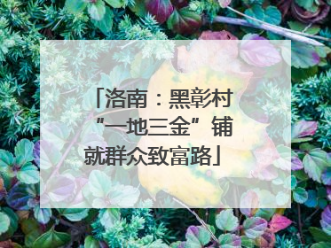 洛南：黑彰村“一地三金”铺就群众致富路