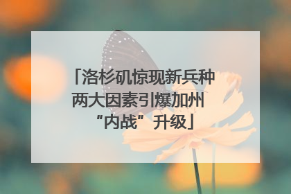 洛杉矶惊现新兵种 两大因素引爆加州“内战”升级